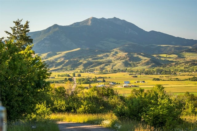view of mountain feature
