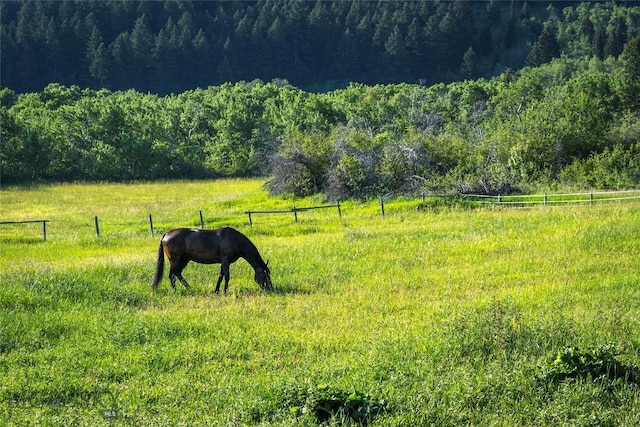 view of property's community featuring a view of trees, fence, and a rural view