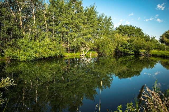 property view of water featuring a view of trees