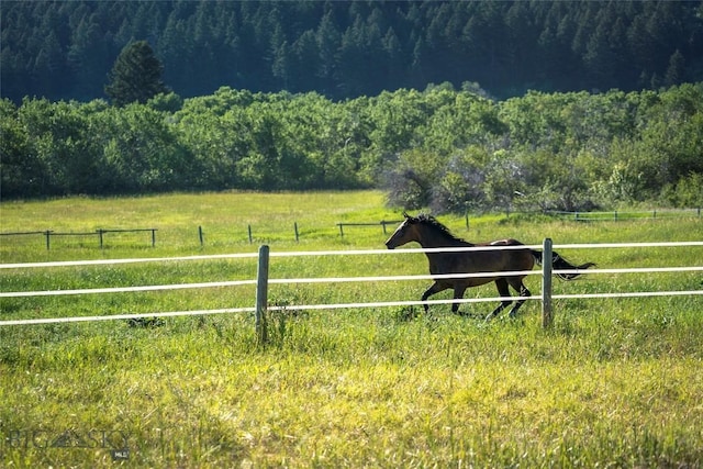 view of yard with a rural view, fence, and a wooded view