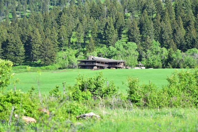 view of yard featuring a rural view and a forest view
