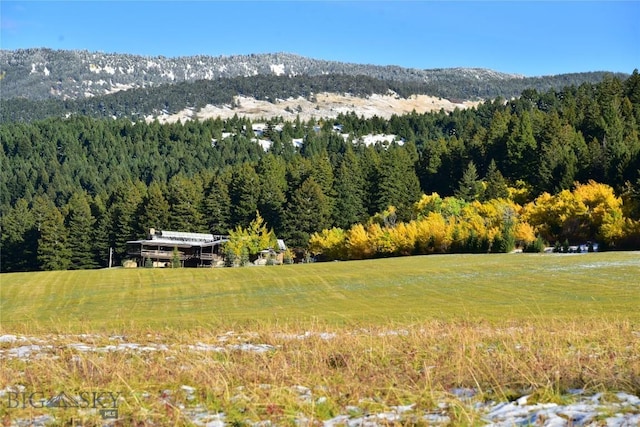 view of mountain feature featuring a forest view