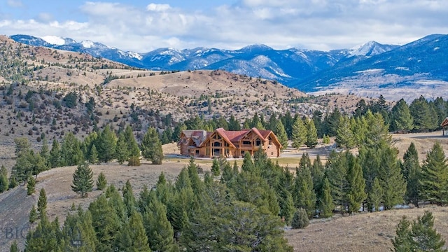 569/571 Cinnabar Basin Rd, Gardiner, MT 59030 - view of mountain background