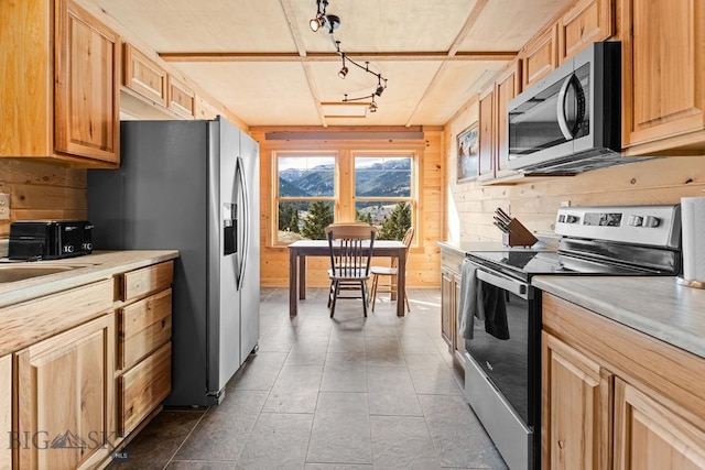569/571 Cinnabar Basin Rd, Gardiner, MT 59030 - kitchen with stainless steel appliances, rail lighting, light countertops, and decorative backsplash