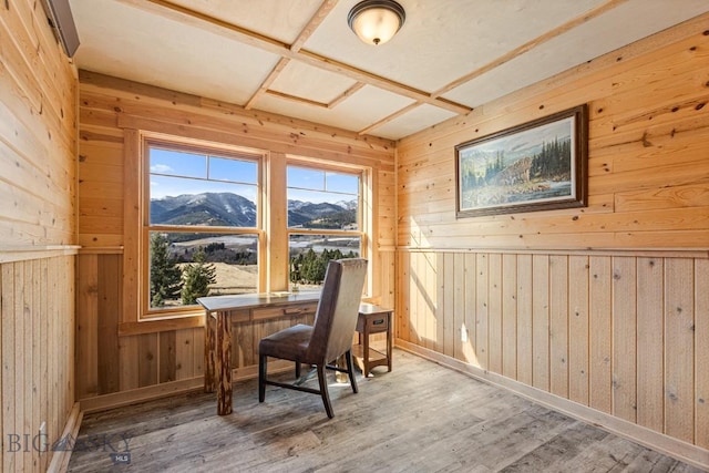 569/571 Cinnabar Basin Rd, Gardiner, MT 59030 - office with wood walls, wood finished floors, a mountain view, and baseboards