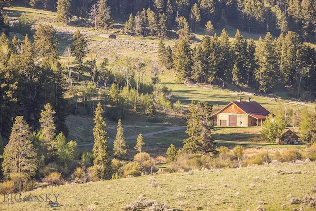 569/571 Cinnabar Basin Rd, Gardiner, MT 59030 - view from above of property