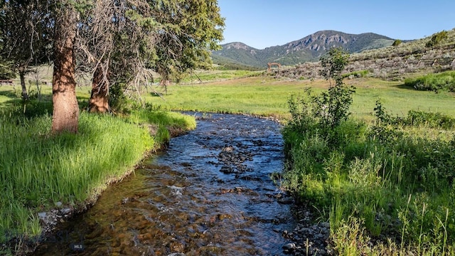 569/571 Cinnabar Basin Rd, Gardiner, MT 59030 - photo 3