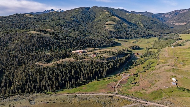 569/571 Cinnabar Basin Rd, Gardiner, MT 59030 - photo 7