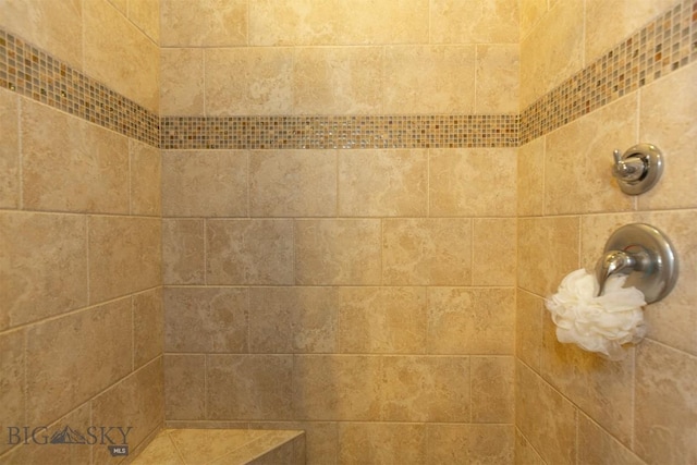 46 Rapelje Rd, Big Timber, MT 59011 - interior details with tiled shower
