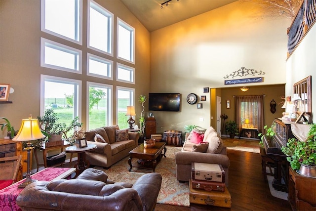 46 Rapelje Rd, Big Timber, MT 59011 - living room featuring wood-type flooring and high vaulted ceiling