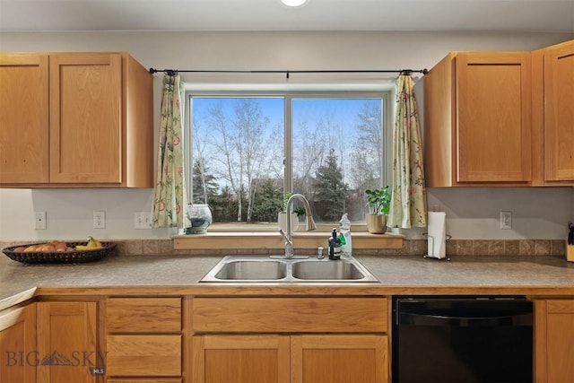 kitchen with a sink and dishwasher