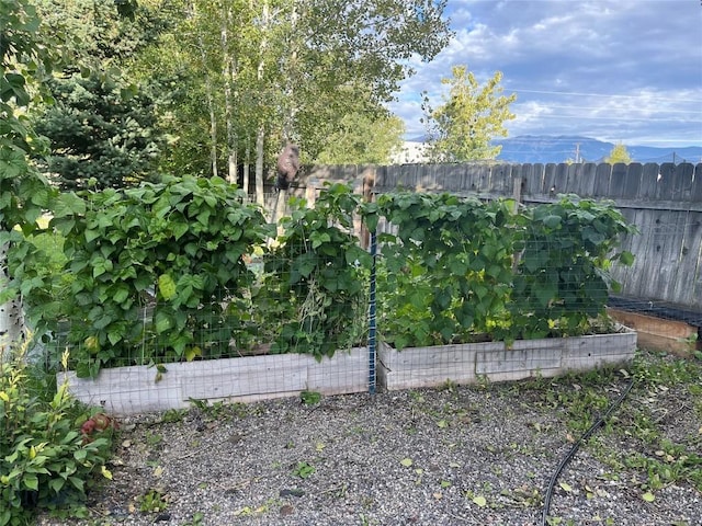 view of yard featuring fence and a vegetable garden