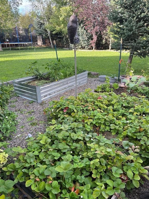 view of home's community with a trampoline, fence, a vegetable garden, and a lawn
