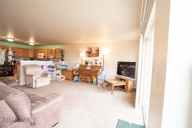 1112 Biehl Unit A, Belgrade, MT 59714 - living room featuring light carpet