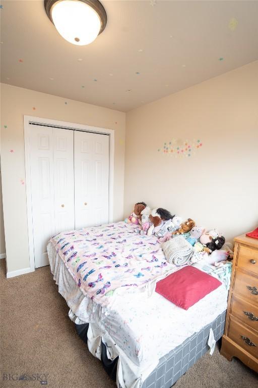 1112 Biehl Unit A, Belgrade, MT 59714 - bedroom featuring a closet and carpet