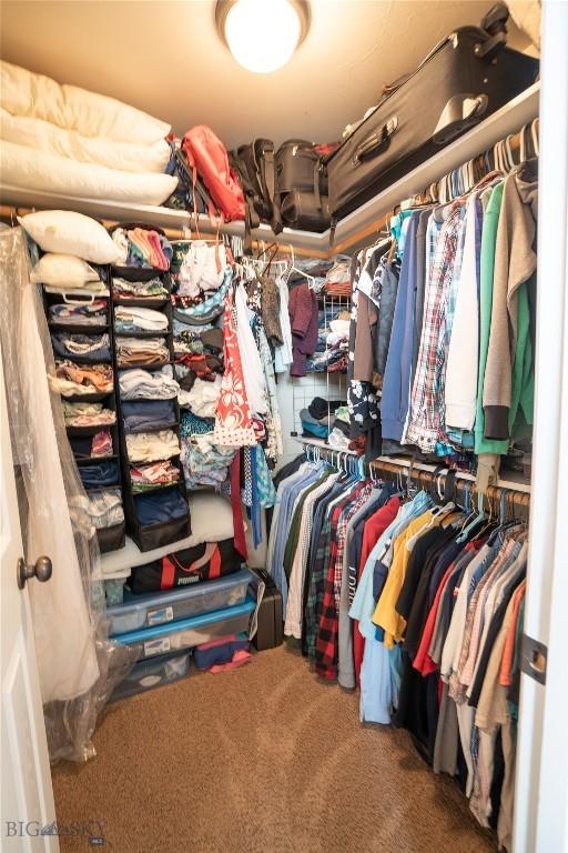 1112 Biehl Unit A, Belgrade, MT 59714 - spacious closet with carpet floors