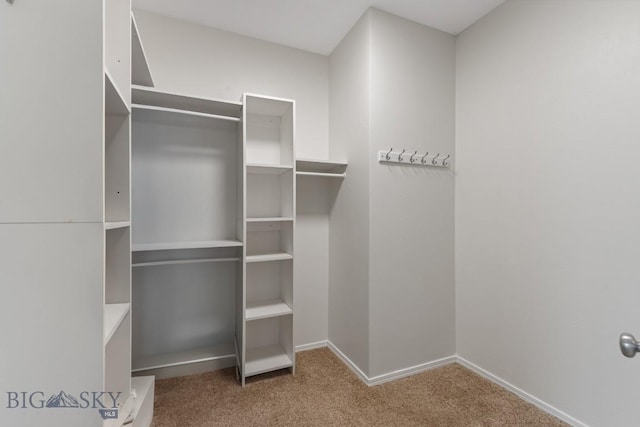 2514 Putter Ct, Bozeman, MT 59715 - spacious closet with carpet flooring