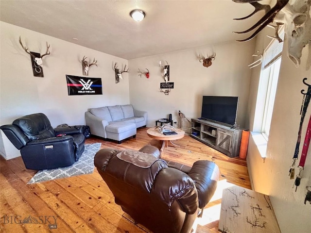 521 E Bannack St, Dillon, MT 59725 - living area with hardwood / wood-style flooring