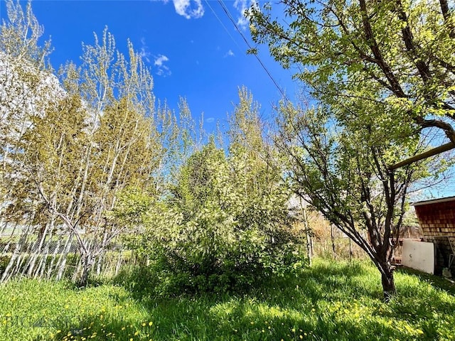 521 E Bannack St, Dillon, MT 59725 - view of nature