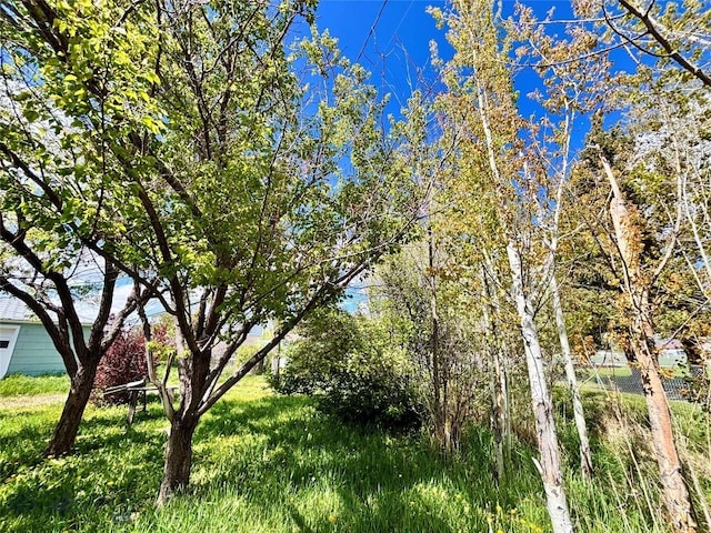 521 E Bannack St, Dillon, MT 59725 - view of local wilderness