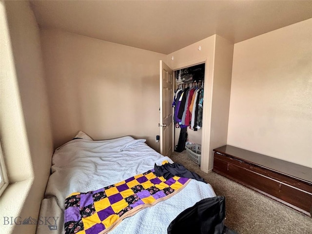 322-328 Vine St, Dillon, MT 59725 - carpeted bedroom featuring a closet