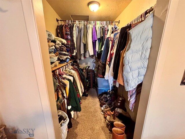322-328 Vine St, Dillon, MT 59725 - walk in closet featuring carpet