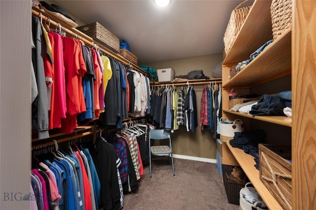spacious closet with carpet flooring