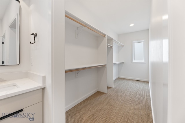 2806 S 30th Ave, Bozeman, MT 59718 - walk in closet with light carpet and a sink