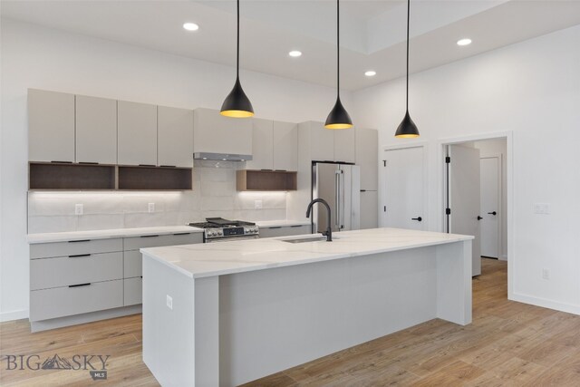 2806 S 30th Ave, Bozeman, MT 59718 - kitchen with stainless steel appliances, a sink, under cabinet range hood, modern cabinets, and light wood-style flooring