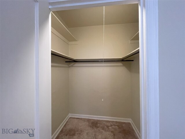 415 E Geyser, Livingston, MT 59047 - walk in closet featuring carpet floors