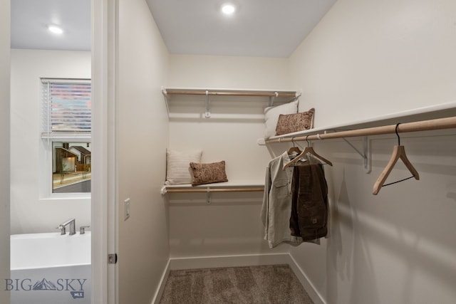 1823 N Cottonwood Rd, Bozeman, MT 59718 - walk in closet featuring carpet flooring