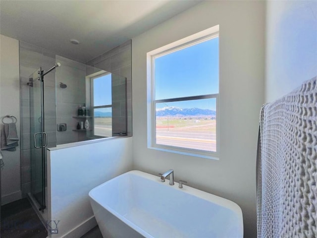 1823 N Cottonwood Rd, Bozeman, MT 59718 - bathroom with a stall shower and a soaking tub