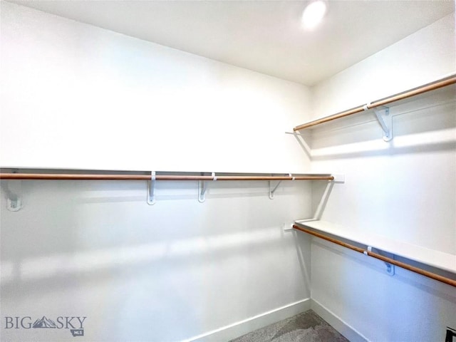 1823 N Cottonwood Rd, Bozeman, MT 59718 - view of walk in closet