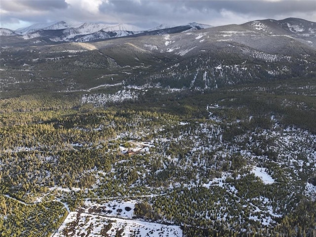 NHN Herring Flats Rd, Anaconda, MT 59711 - photo 12