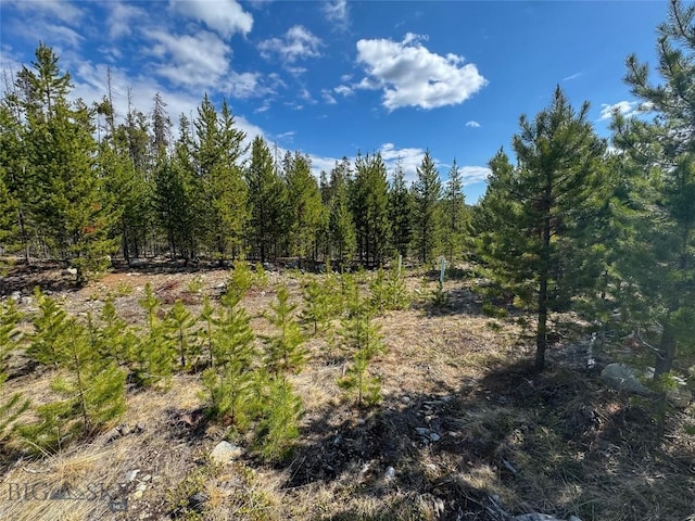 NHN Herring Flats Rd, Anaconda, MT 59711