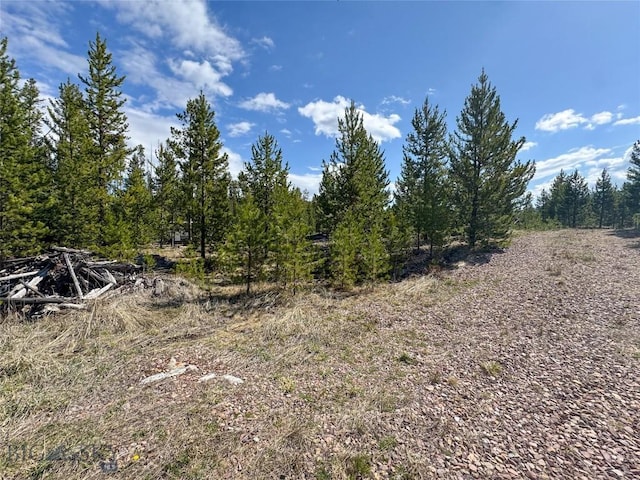 NHN Herring Flats Rd, Anaconda, MT 59711