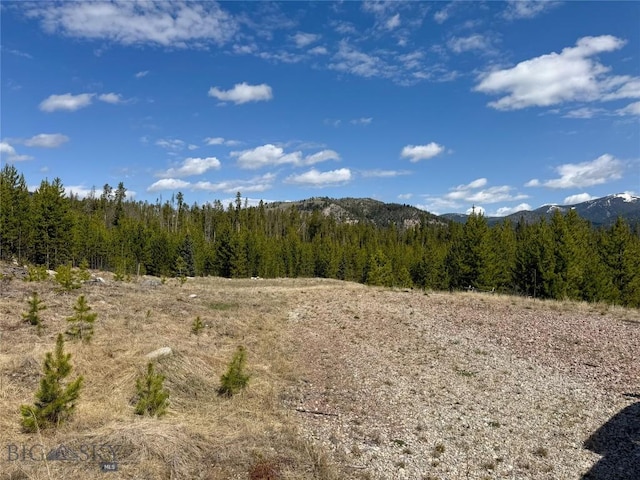 NHN Herring Flats Rd, Anaconda, MT 59711