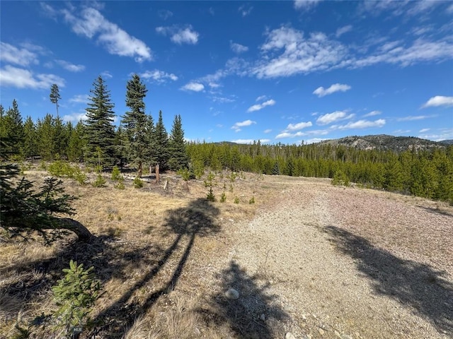 NHN Herring Flats Rd, Anaconda, MT 59711
