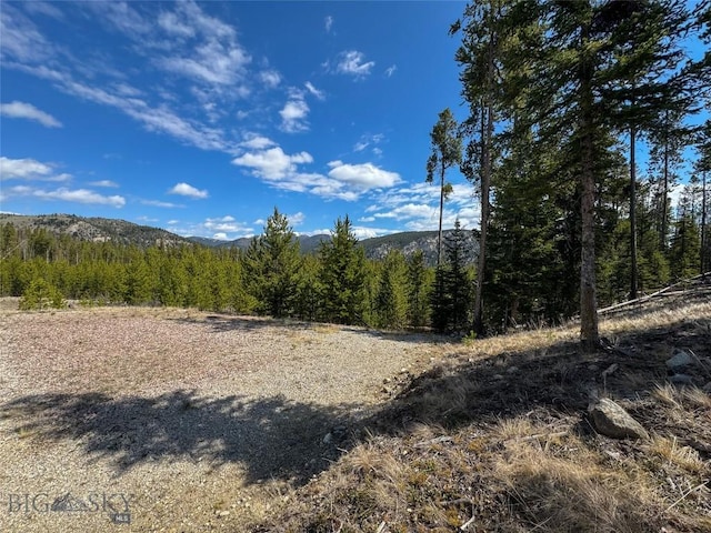 NHN Herring Flats Rd, Anaconda, MT 59711