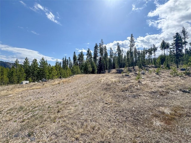 NHN Herring Flats Rd, Anaconda, MT 59711