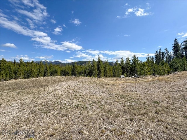 NHN Herring Flats Rd, Anaconda, MT 59711