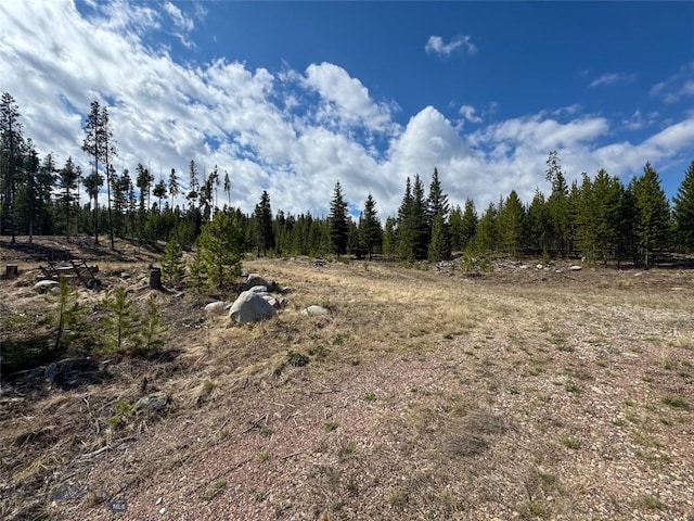 NHN Herring Flats Rd, Anaconda, MT 59711