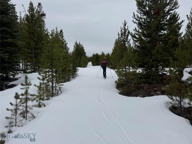 NHN Herring Flats Rd, Anaconda, MT 59711 - photo 20
