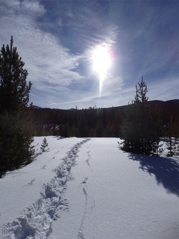 NHN Herring Flats Rd, Anaconda, MT 59711 - photo 13