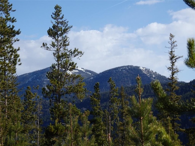 NHN Herring Flats Rd, Anaconda, MT 59711 - photo 14