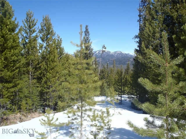 NHN Herring Flats Rd, Anaconda, MT 59711 - photo 15
