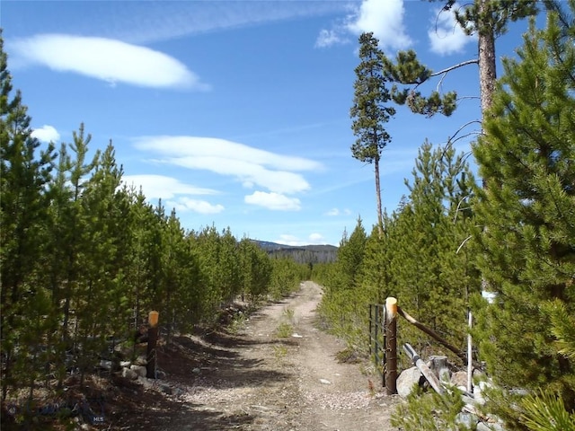 NHN Herring Flats Rd, Anaconda, MT 59711 - photo 16