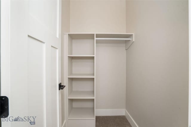 view of closet