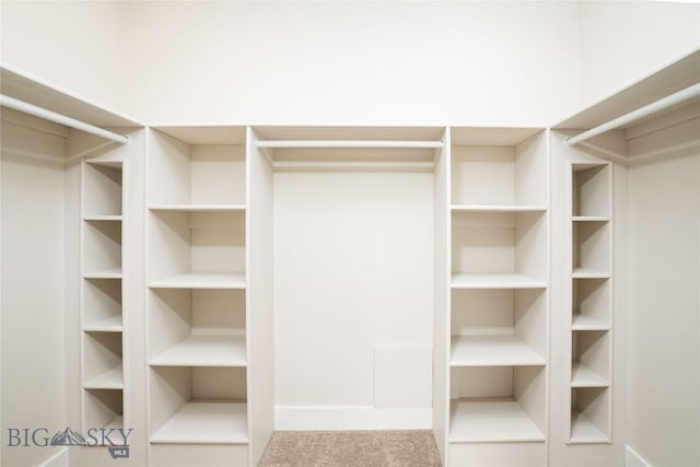 walk in closet with carpet