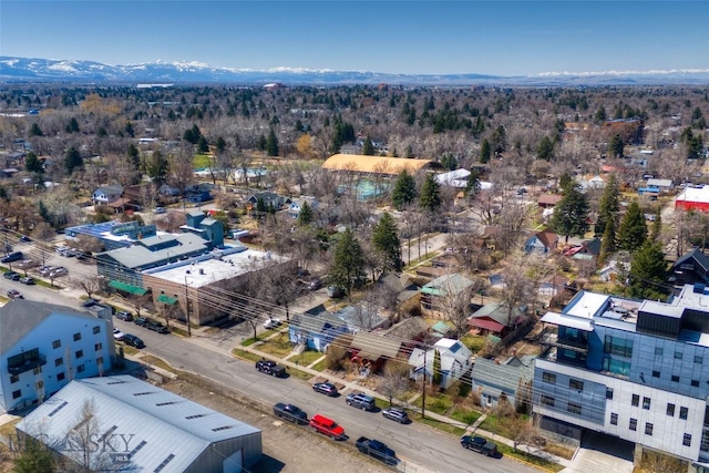 113 S Wallace Ave, Bozeman, MT 59715